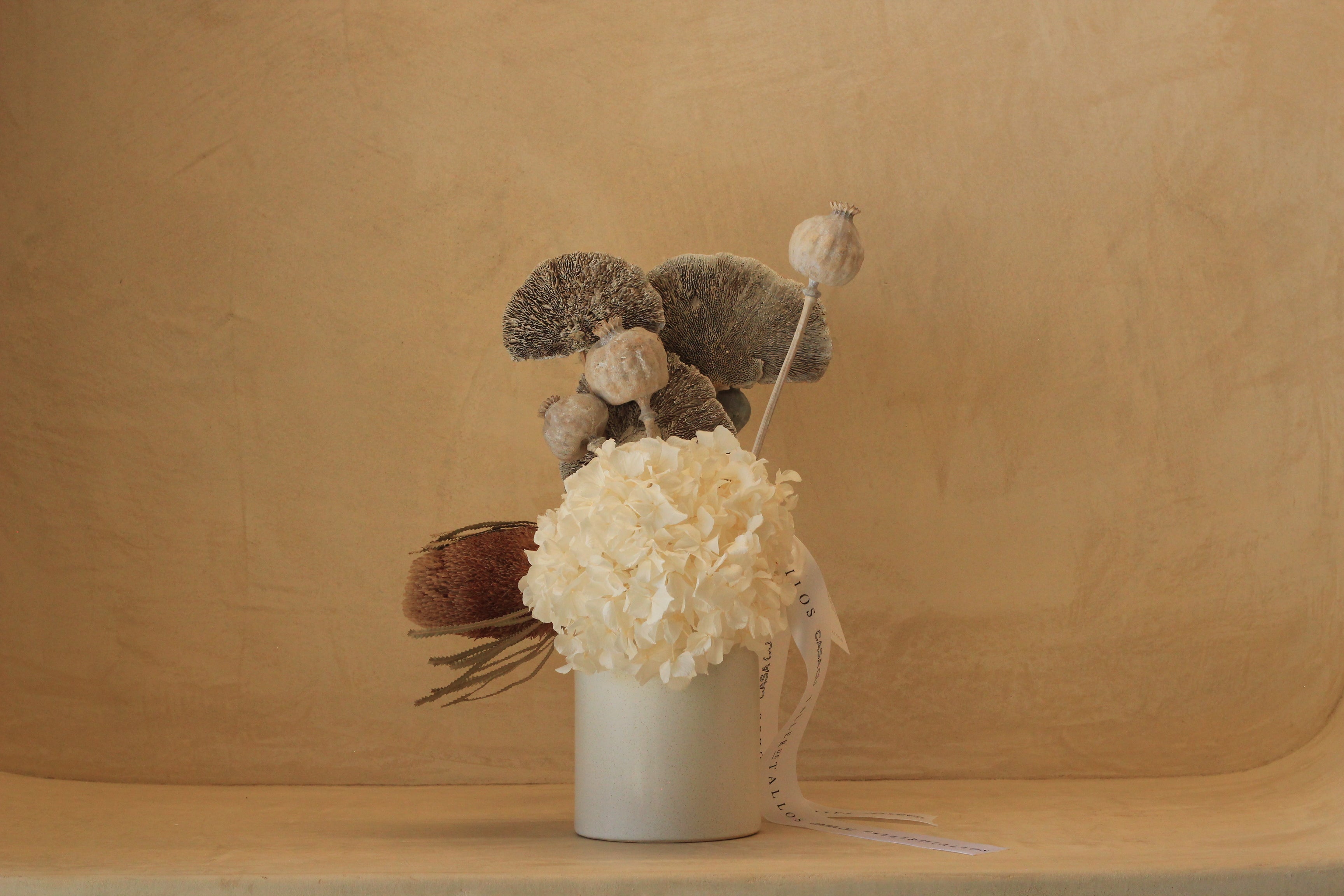 White Banskia Mushroom - Preserved Flowers