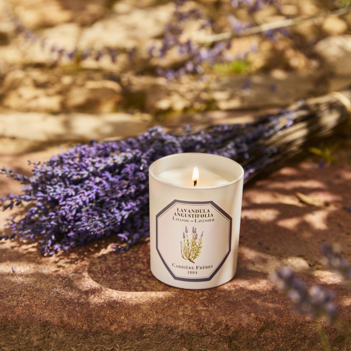 Lavandula Angustifolia - Lavender Candle